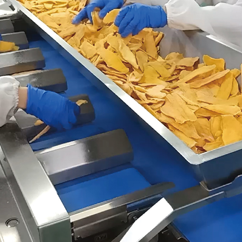 xoang khô Máy vận chuyển dây đai nhiều trạm tự động thủy sản dưa hấu cá filet bàn mục tiêu trọng lượng đối trọng