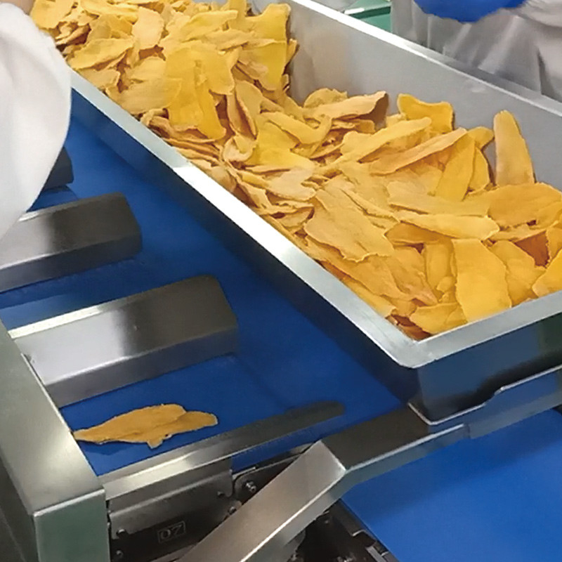 xoang khô Máy vận chuyển dây đai nhiều trạm tự động thủy sản dưa hấu cá filet bàn mục tiêu trọng lượng đối trọng