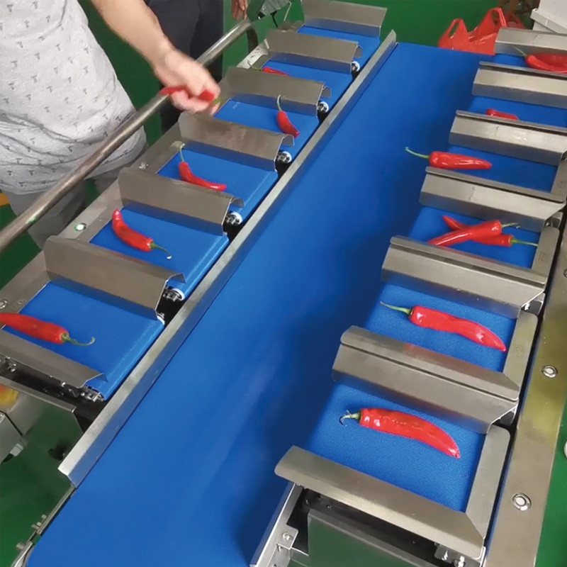 xoang khô Máy vận chuyển dây đai nhiều trạm tự động thủy sản dưa hấu cá filet bàn mục tiêu trọng lượng đối trọng