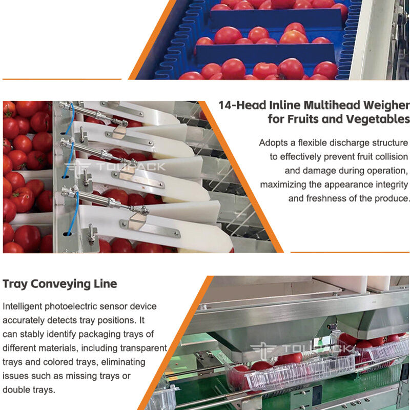 Máy cân tuyến tính Dây chuyền đóng gói trái cây cà chua bi tự động Dây chuyền đóng gói niêm phong với hệ thống cân có độ chính xác cao