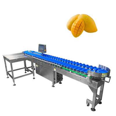 Máy phân loại kích thước tự động bằng thép không gỉ 304 để phân loại rau quả xoài