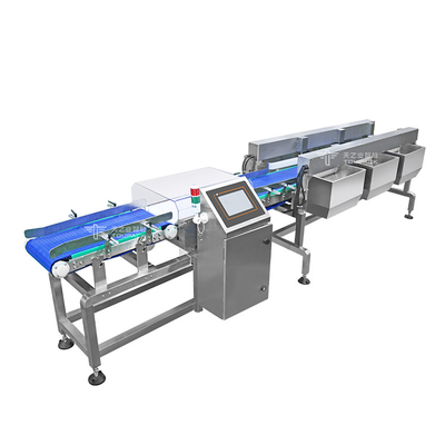 Máy phân loại trọng lượng dây chuyền vận chuyển tự động Máy vận chuyển công nghiệp thực phẩm