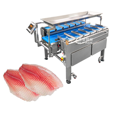 Phối hợp đa chức năng cân nặng cân nặng cố định Chiếc máy đóng gói dây chuyền vận chuyển cho thực phẩm Chiếc dây chuyền vận chuyển thế hệ mới