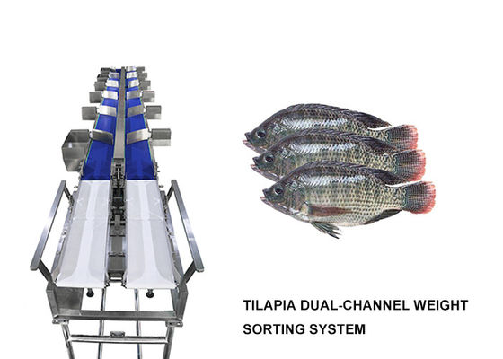 Máy phân loại đa trọng lượng 12 lớp chống thấm nước cho cá / xúc xích / lòng đỏ thực phẩm tươi sống