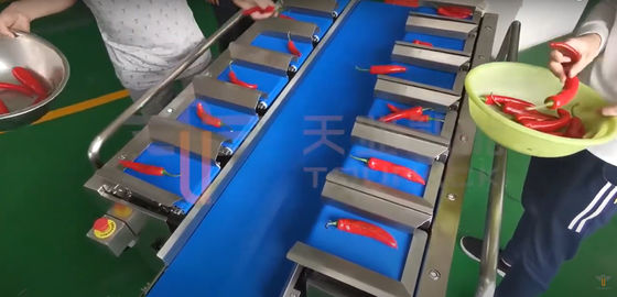 Chili Carrot Food Grade Siemens Belt Cân cho sản phẩm không thường xuyên