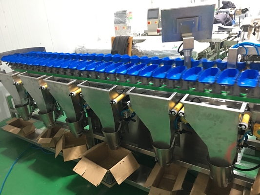 Máy phân loại cánh gà tròn Máy nghiền đa trọng lượng không thấm nước