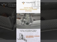 Ngày tùy chỉnh Dây chuyền đóng gói hộp cọ Máy chiết rót hạt Dây chuyền lắp ráp sản xuất tự động