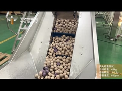 TOUPACK Hệ thống cân và đóng gói thịt đông lạnh