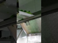 Máy đóng gói salad nhiều đầu