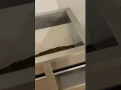 Máy đóng gói cà phê hạt cân tuyến tính