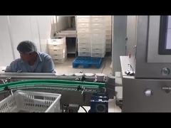 Máy kiểm tra tia X điện tử tự động cho ngành công nghiệp thực phẩm Hệ thống kiểm tra tia X