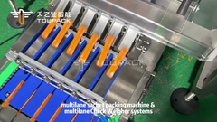 Máy đóng gói sachet nhiều làn đường công nghiệp với máy cân kiểm tra nhiều làn đường