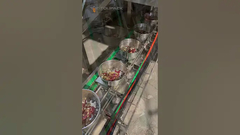 Máy đóng gói VFFS thức ăn cho vẹt, thức ăn vật nuôi, các loại hạt, dạng hạt, trái cây sấy khô đông lạnh cho trái cây khô