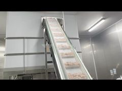 Giới thiệu Máy cân nhiều đầu 14 đầu 1.6L/2.5L làm bánh bao đông lạnh Đậu phộng dành cho bạn