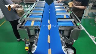 Cân định lượng nhiều đầu V-Belt dùng cho đường phèn（Đường nâu） | Hệ thống từ chối ngược | 464g ±2g