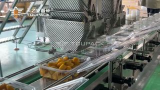 Dây chuyền cân xoài thái hạt lựu tự động | 50 hộp/phút | TOUPACK
